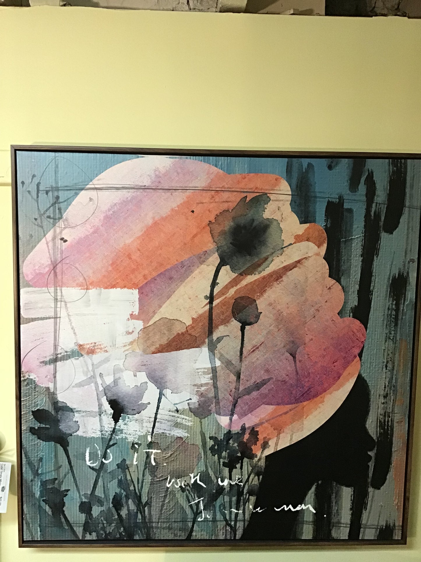 Colourful Framed Canvas Art