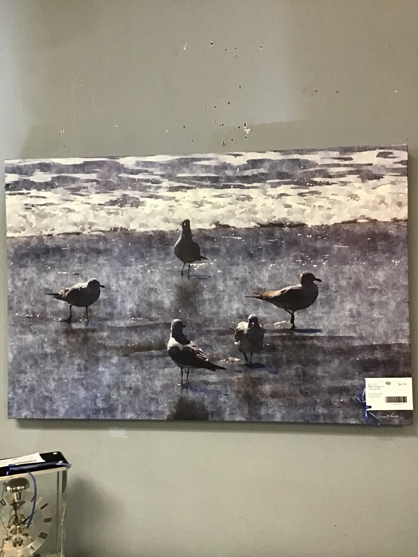 New! Seagulls Canvas Art