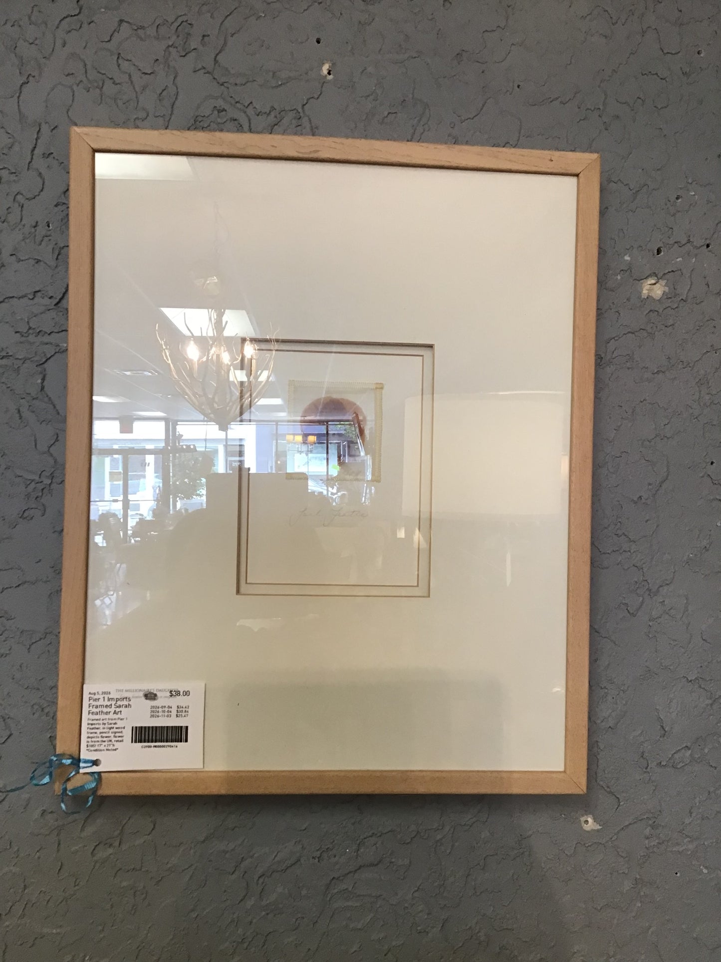 Pier 1 Imports Framed Sarah Feather Art