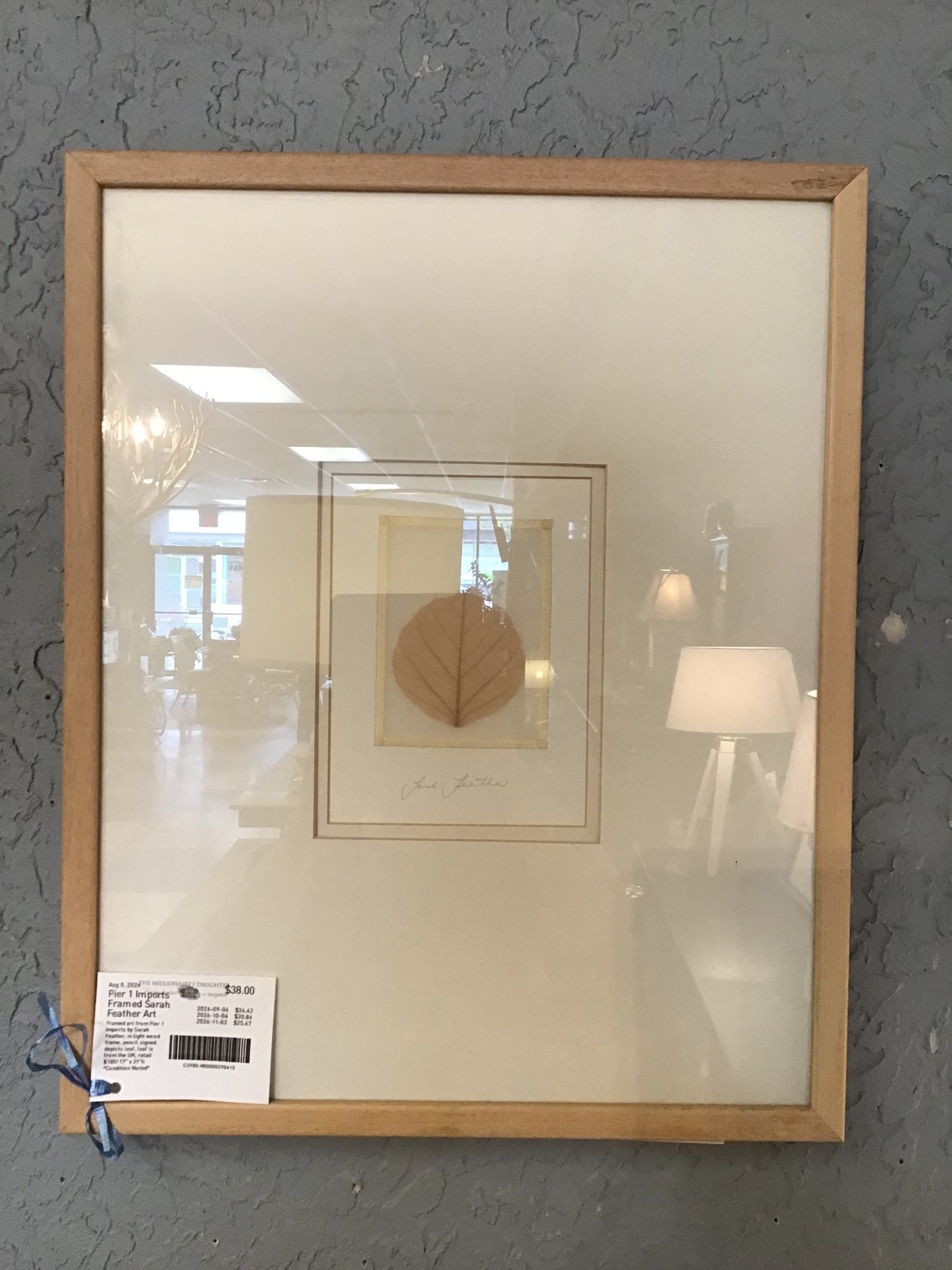 Pier 1 Imports Framed Sarah Feather Art