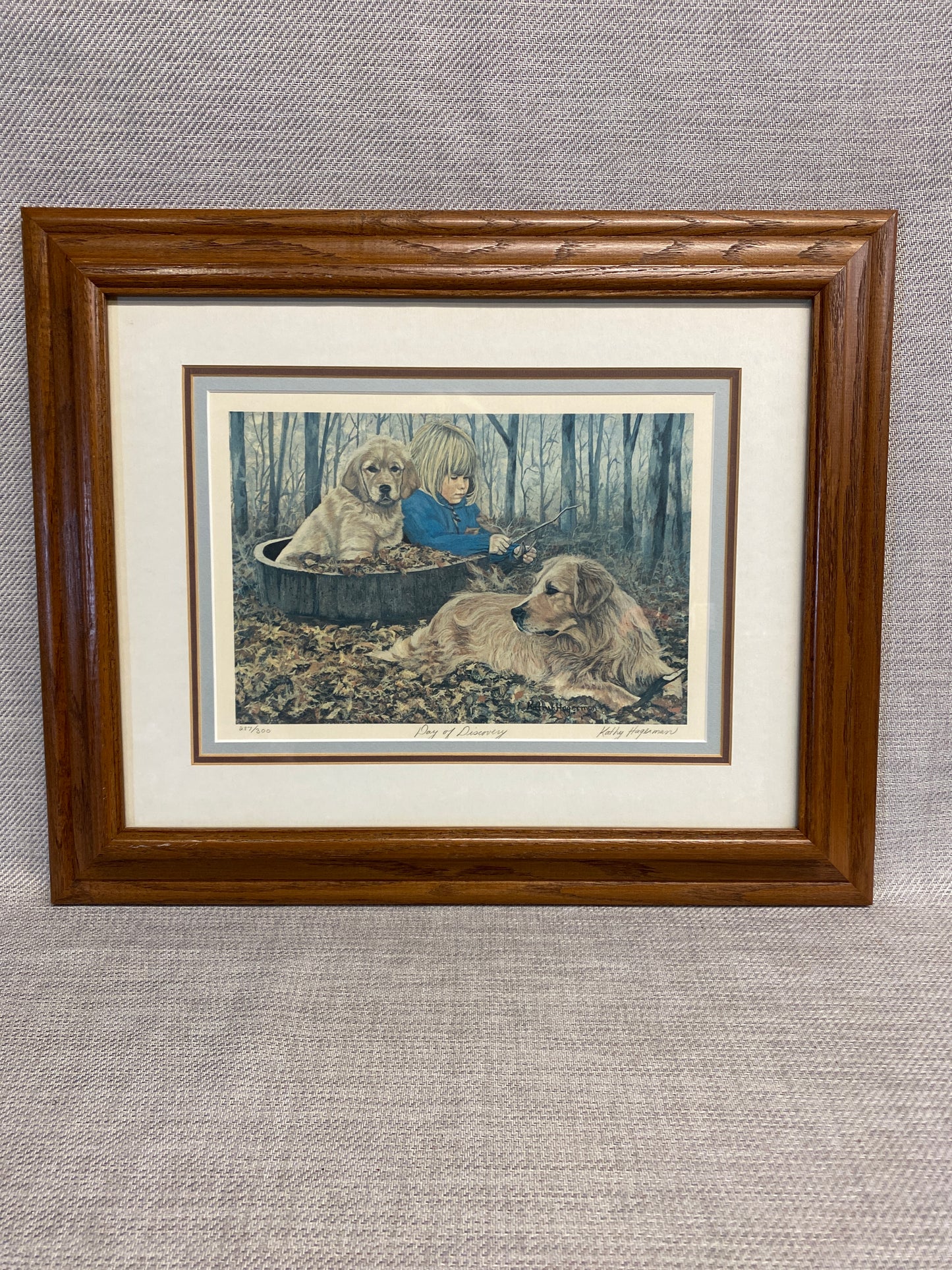 Framed Print - Day Of Discovery