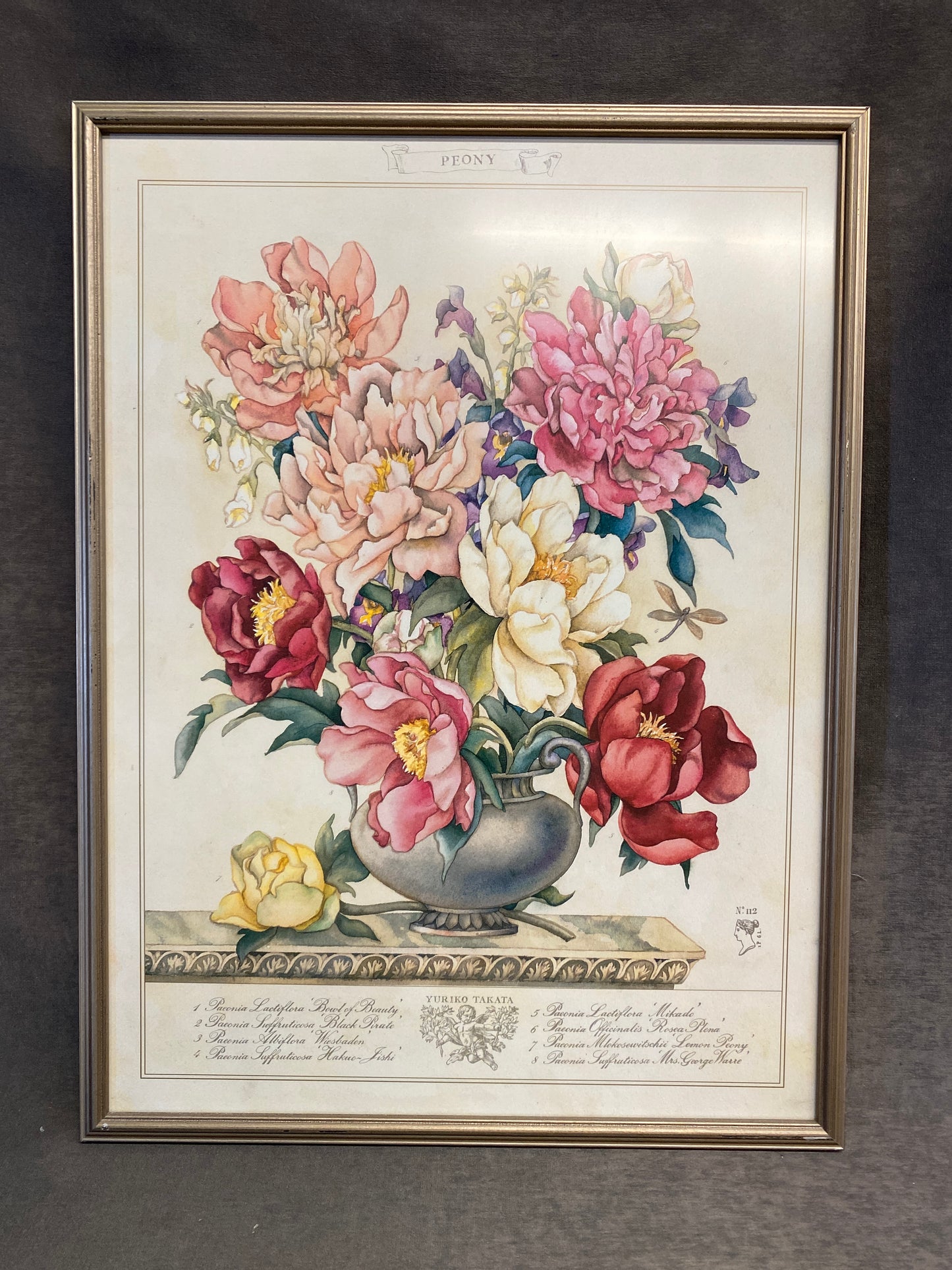 Framed Botanical Print - Peony