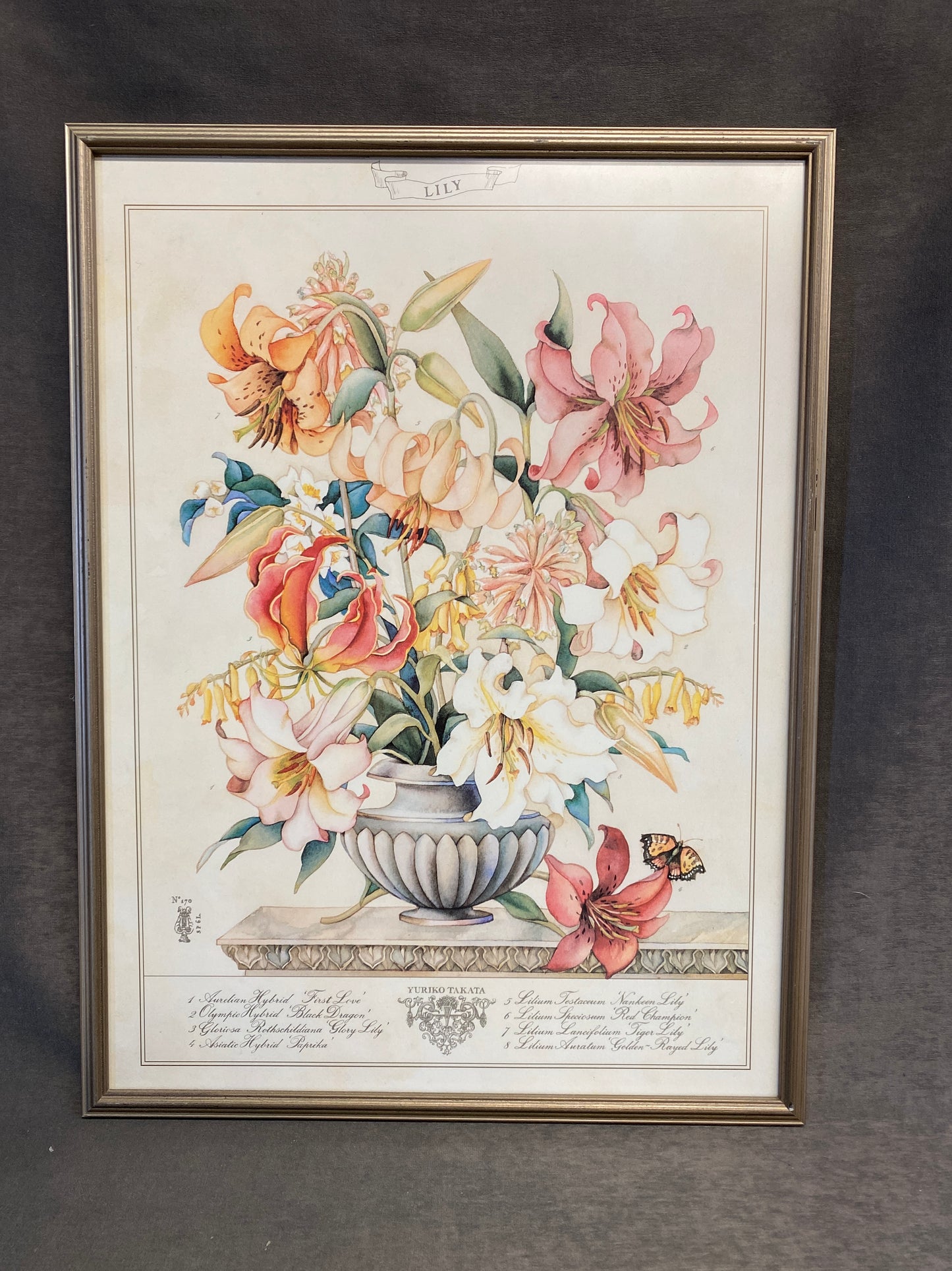 Framed Botanical Print - Lily