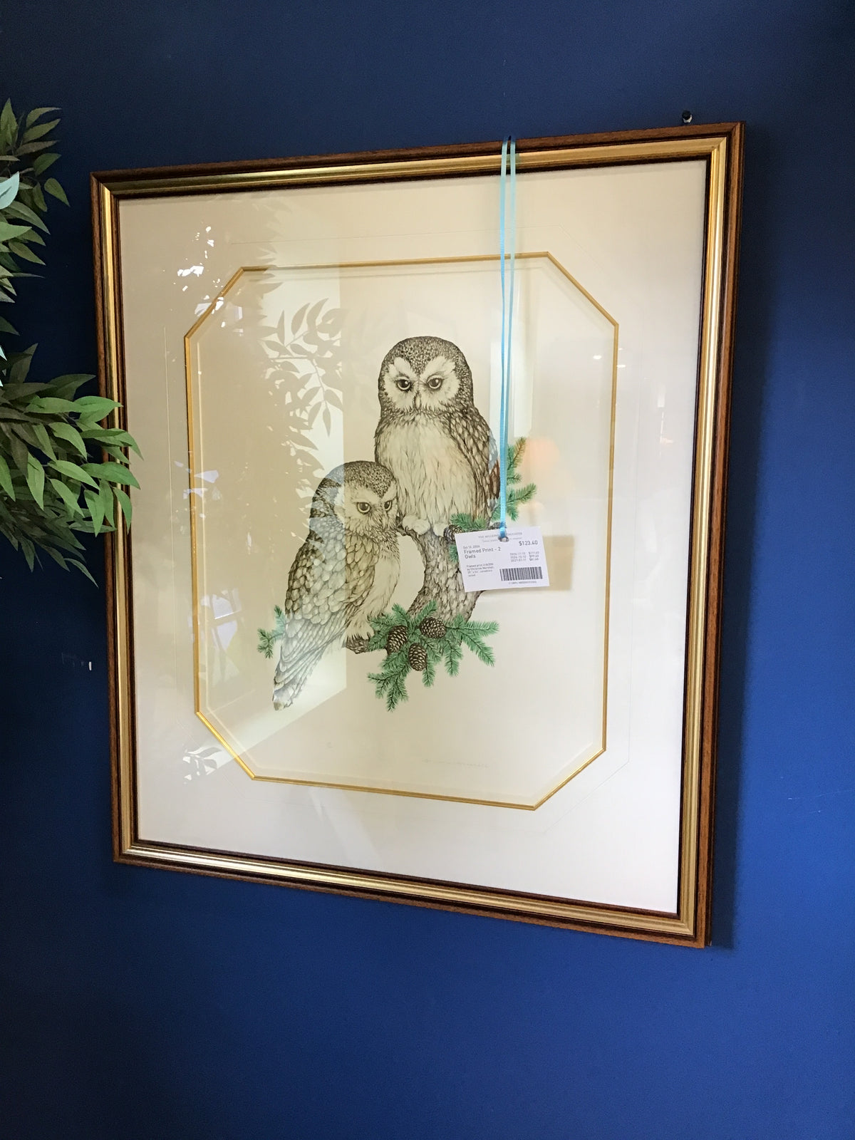 Framed Print - 2 Owls