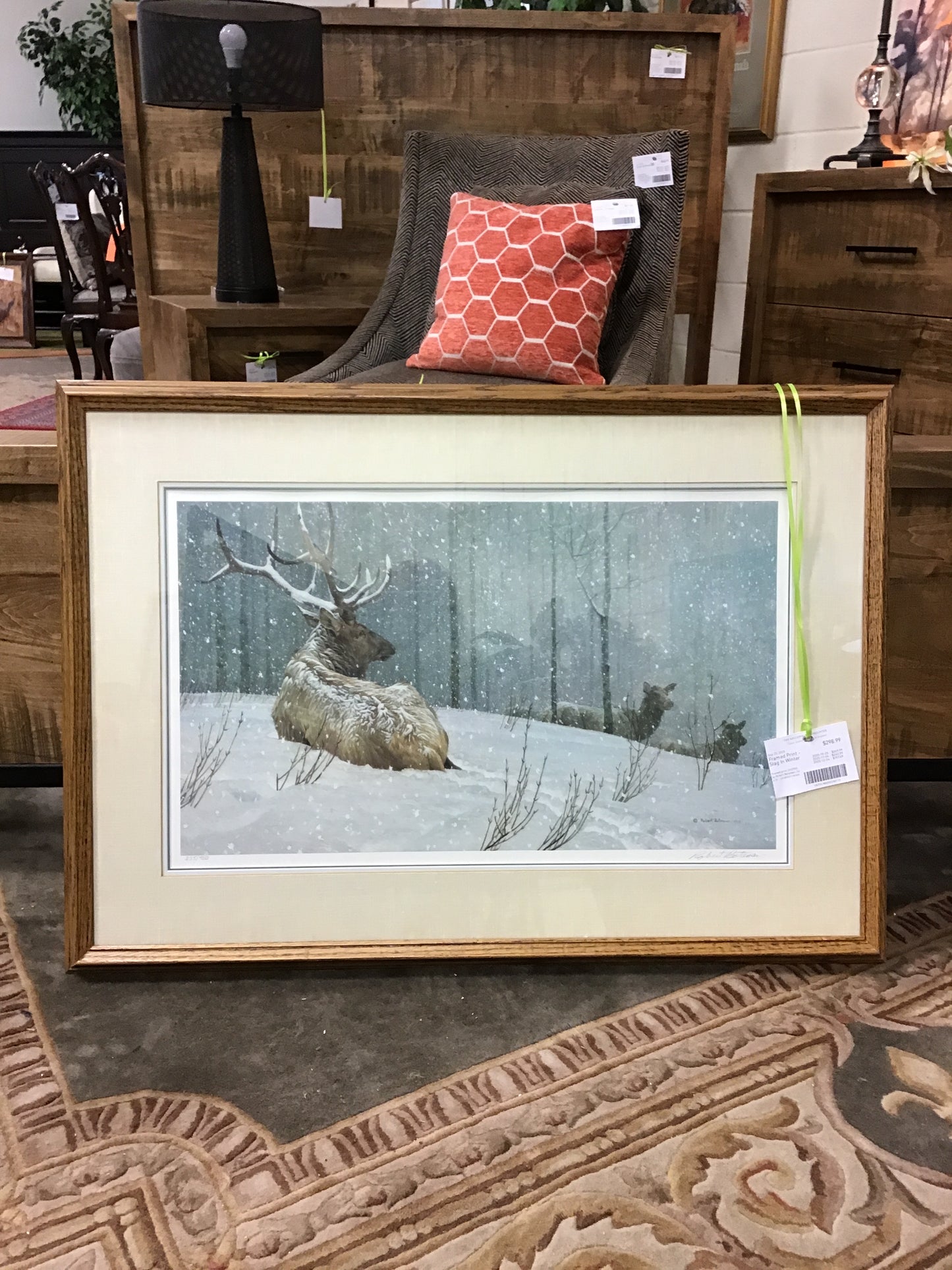 Framed Print - Stag In Winter
