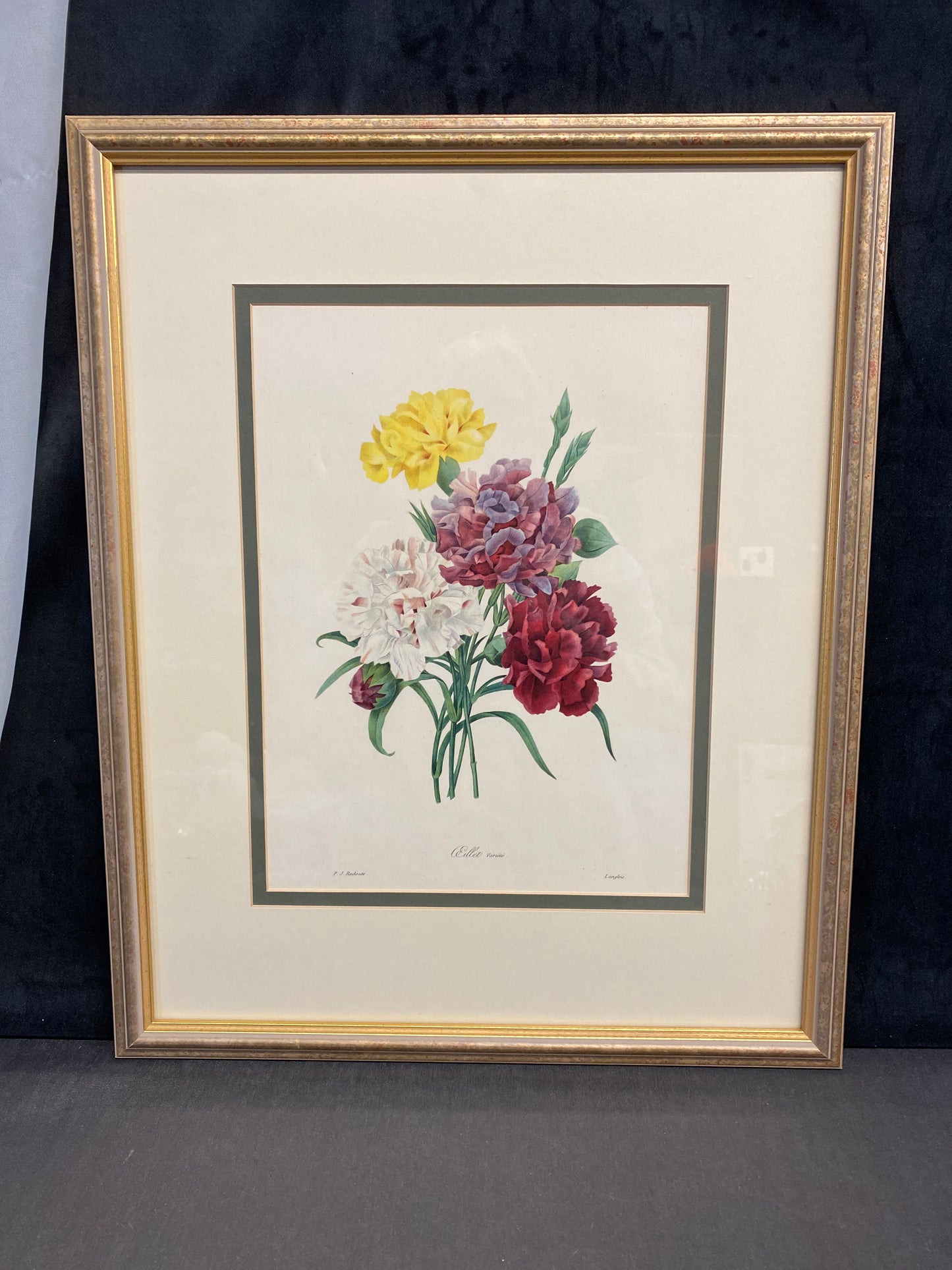 Framed Print - Carnations