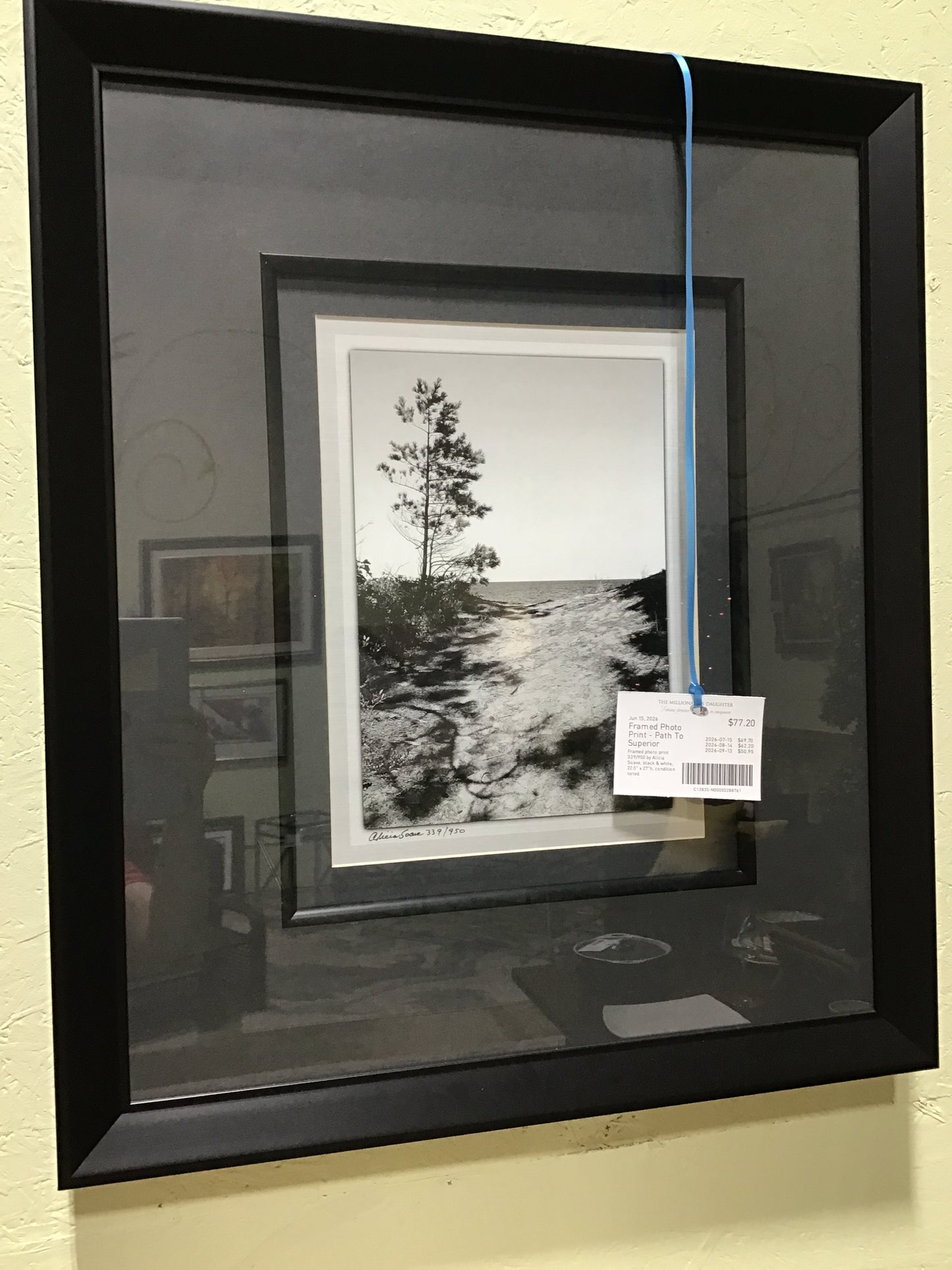 Framed Photo Print - Path To Superior