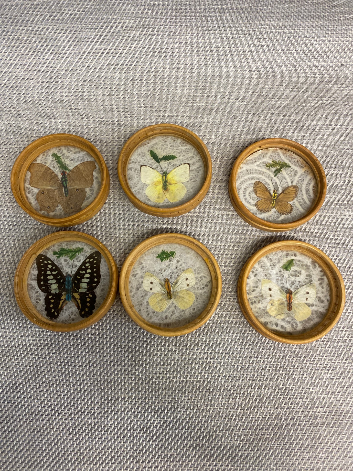 Set 6 Coasters - Butterflies