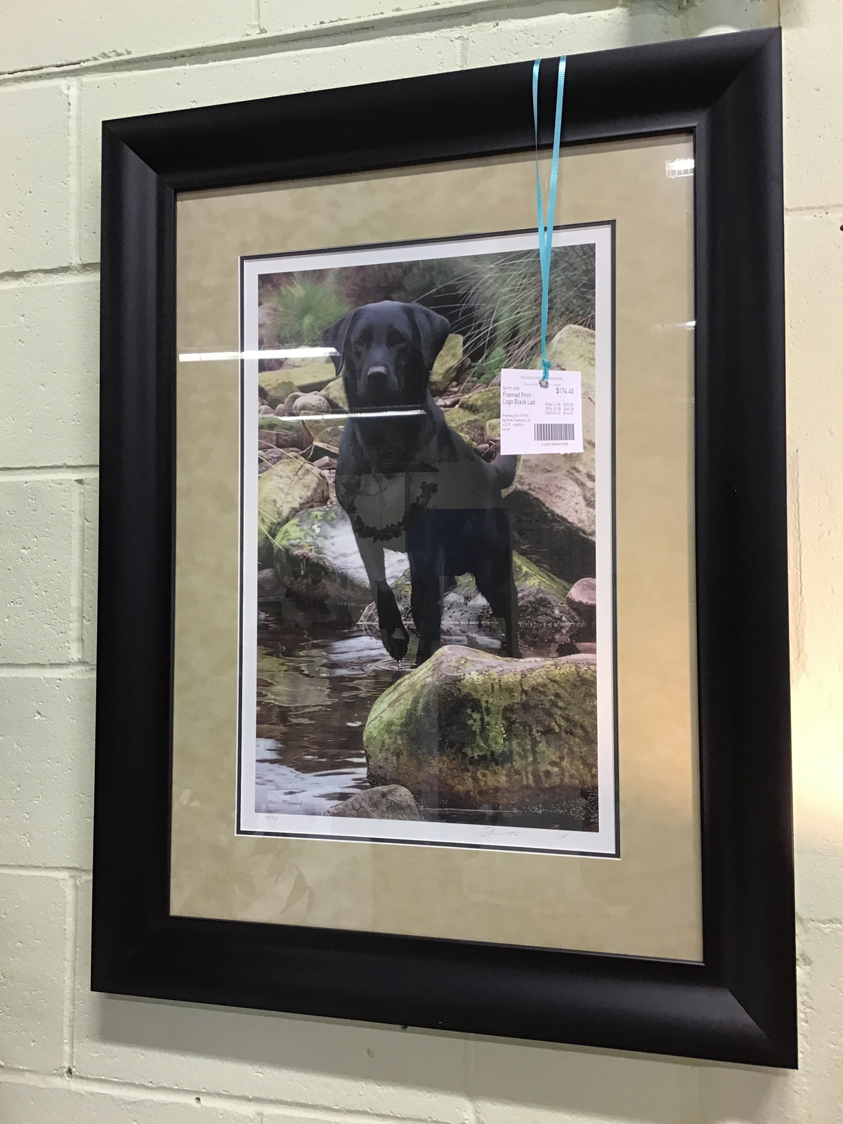 Framed Print - Logo Black Lab