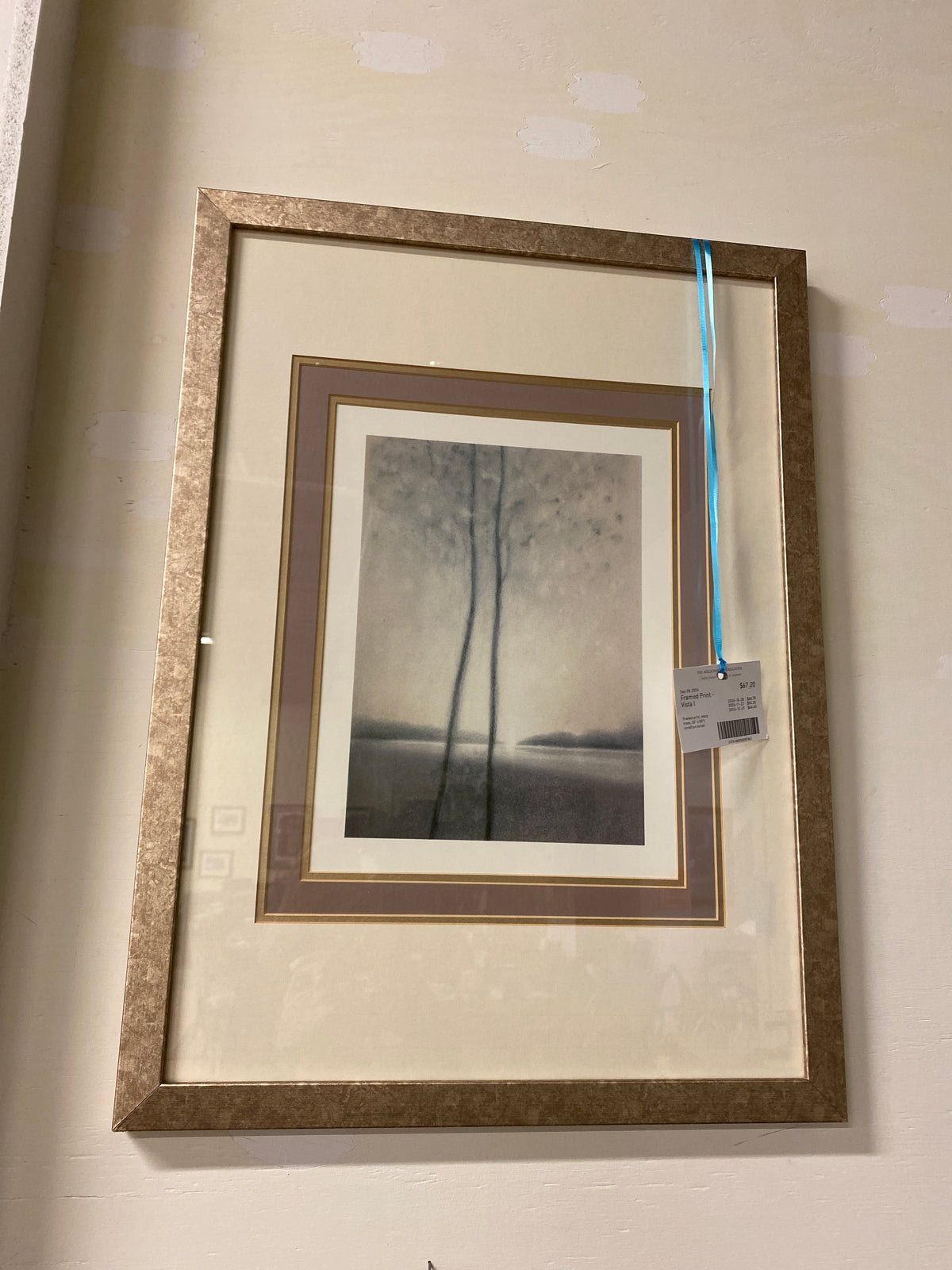 Framed Print - Vista I