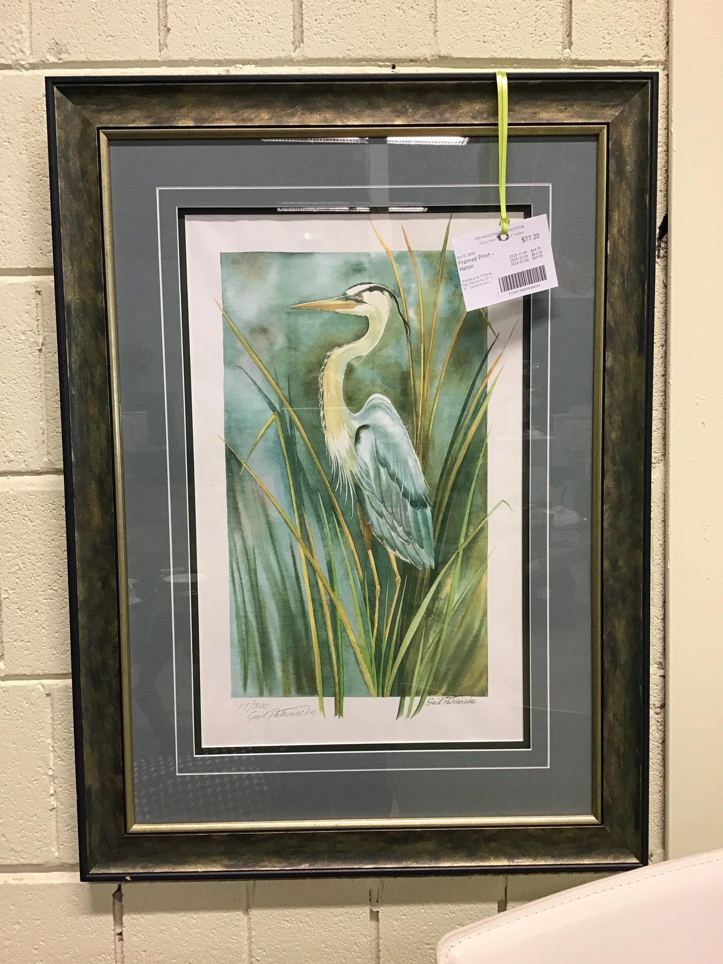 Framed Print - Heron