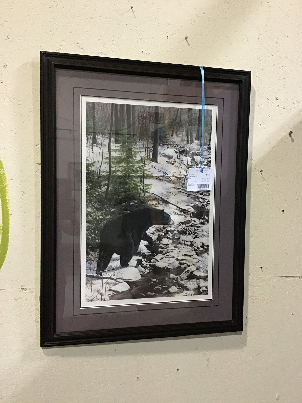 Framed Print - Bear