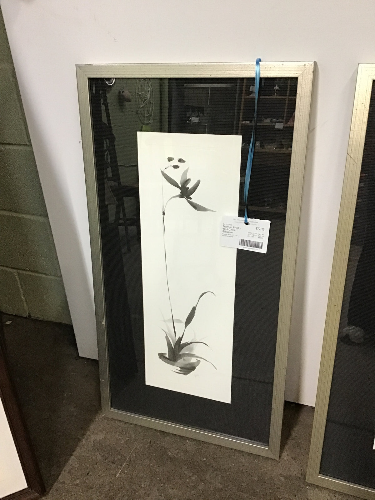Framed Print - Wild Orchid Blossom