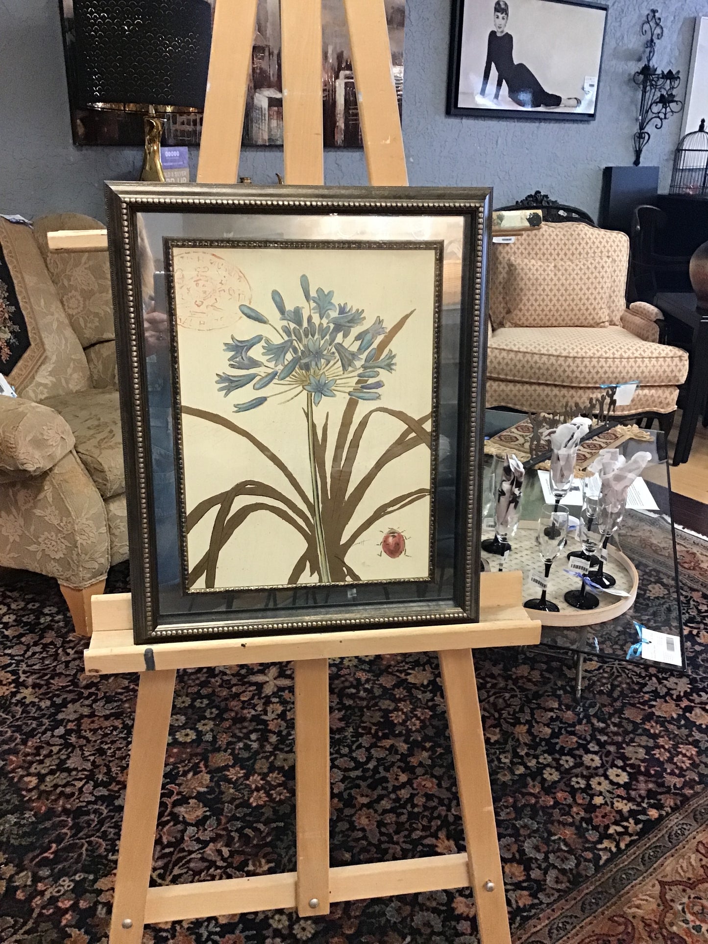 Chad Barrett 'Natures Curiosities 3'