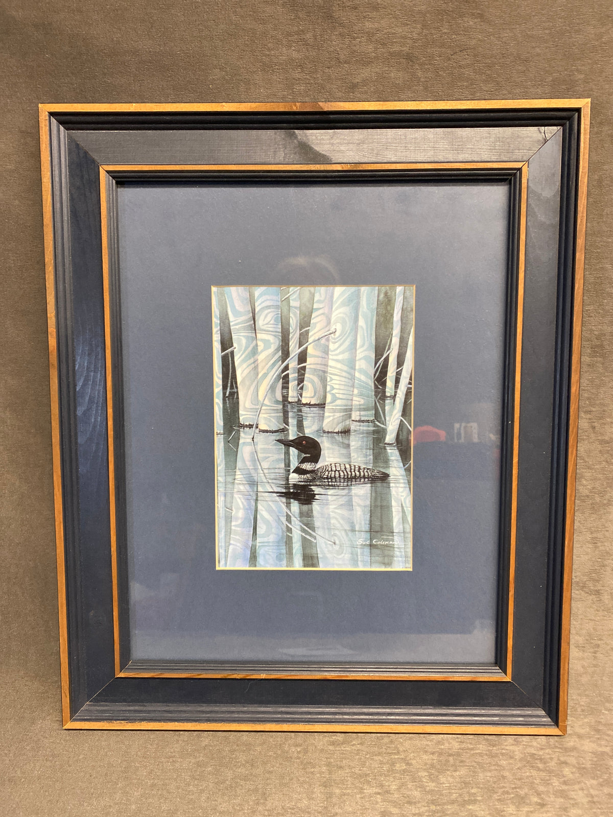 Framed Print - Loon Shadow