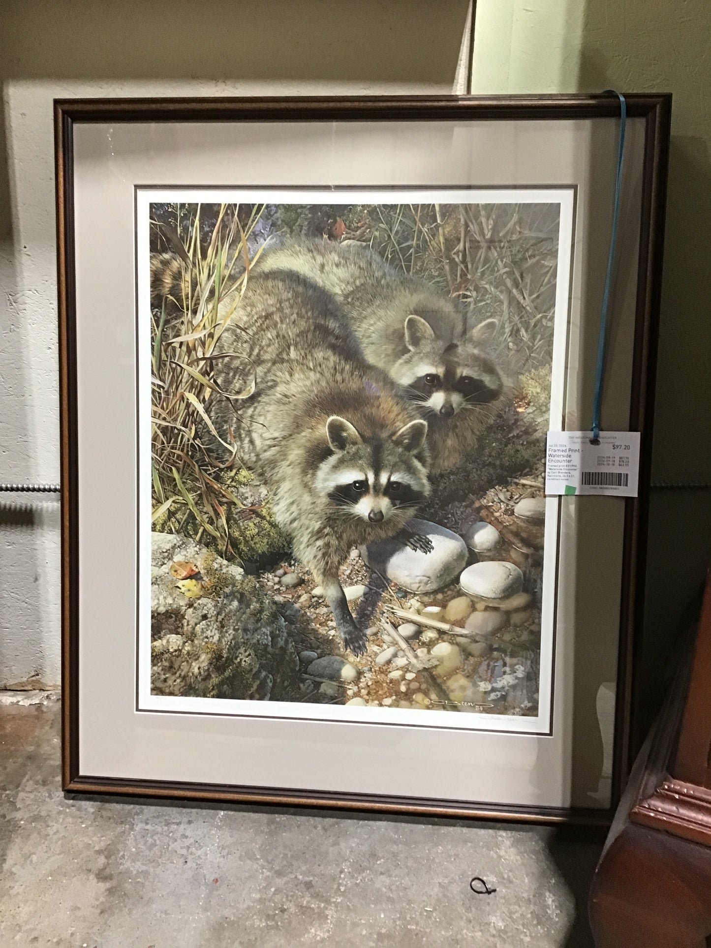 Framed Print - Waterside Encounter