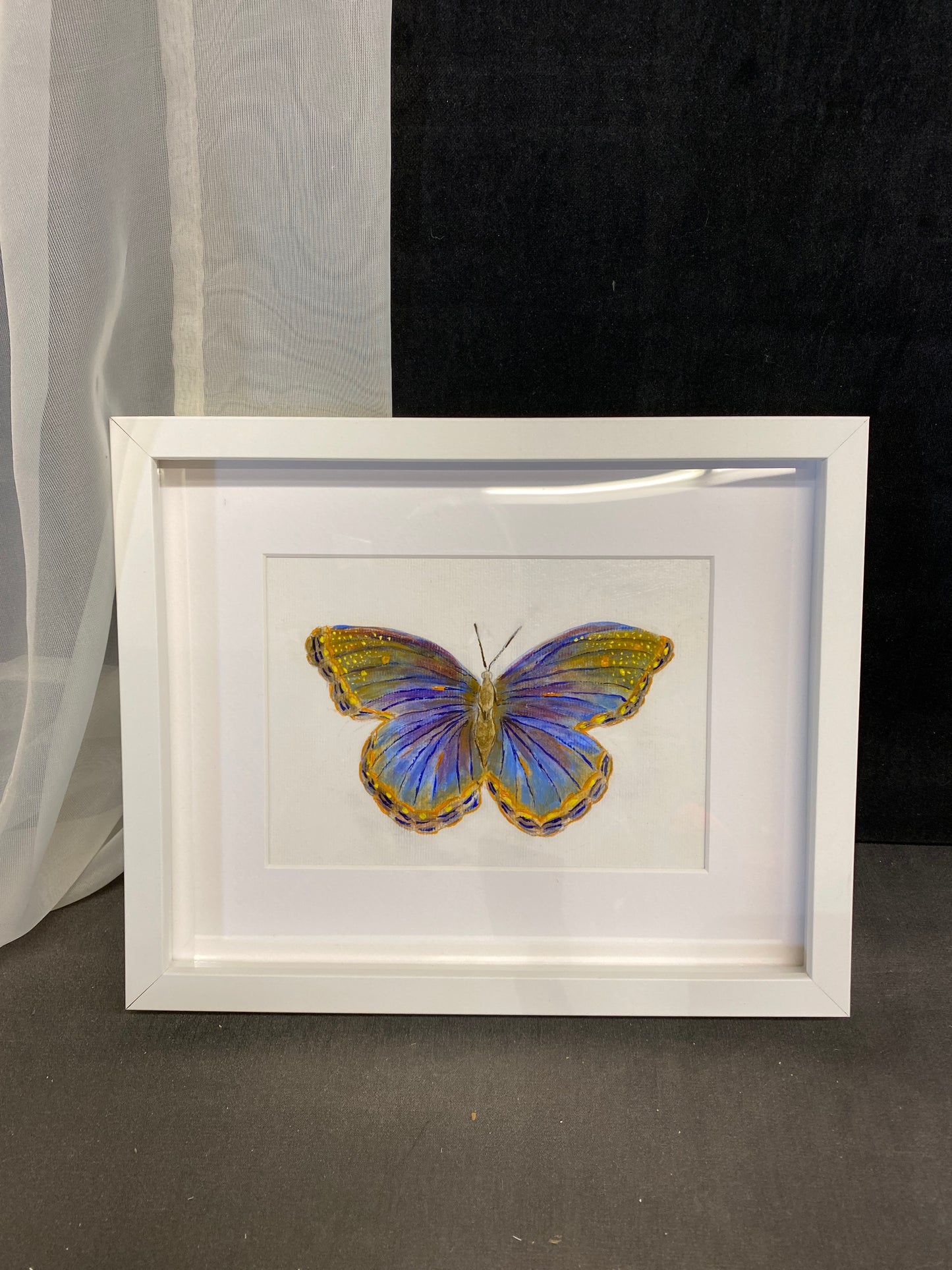 Framed Painting - Blue Butterfly