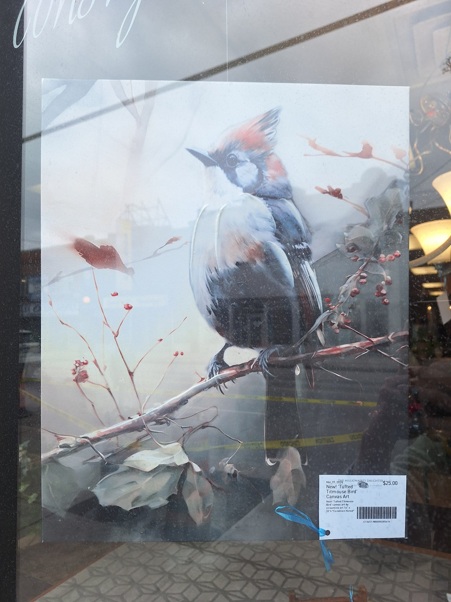 New! 'Tufted Titmouse Bird' Canvas Art