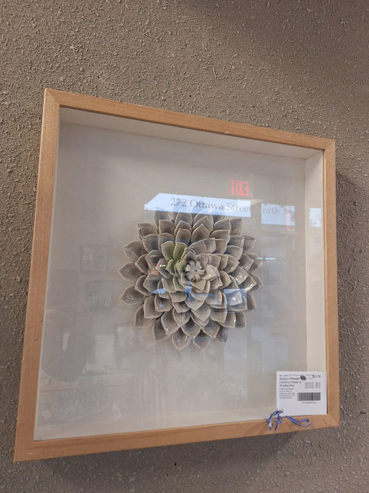 Modern Framed Ceramic Flower in Shadow Box