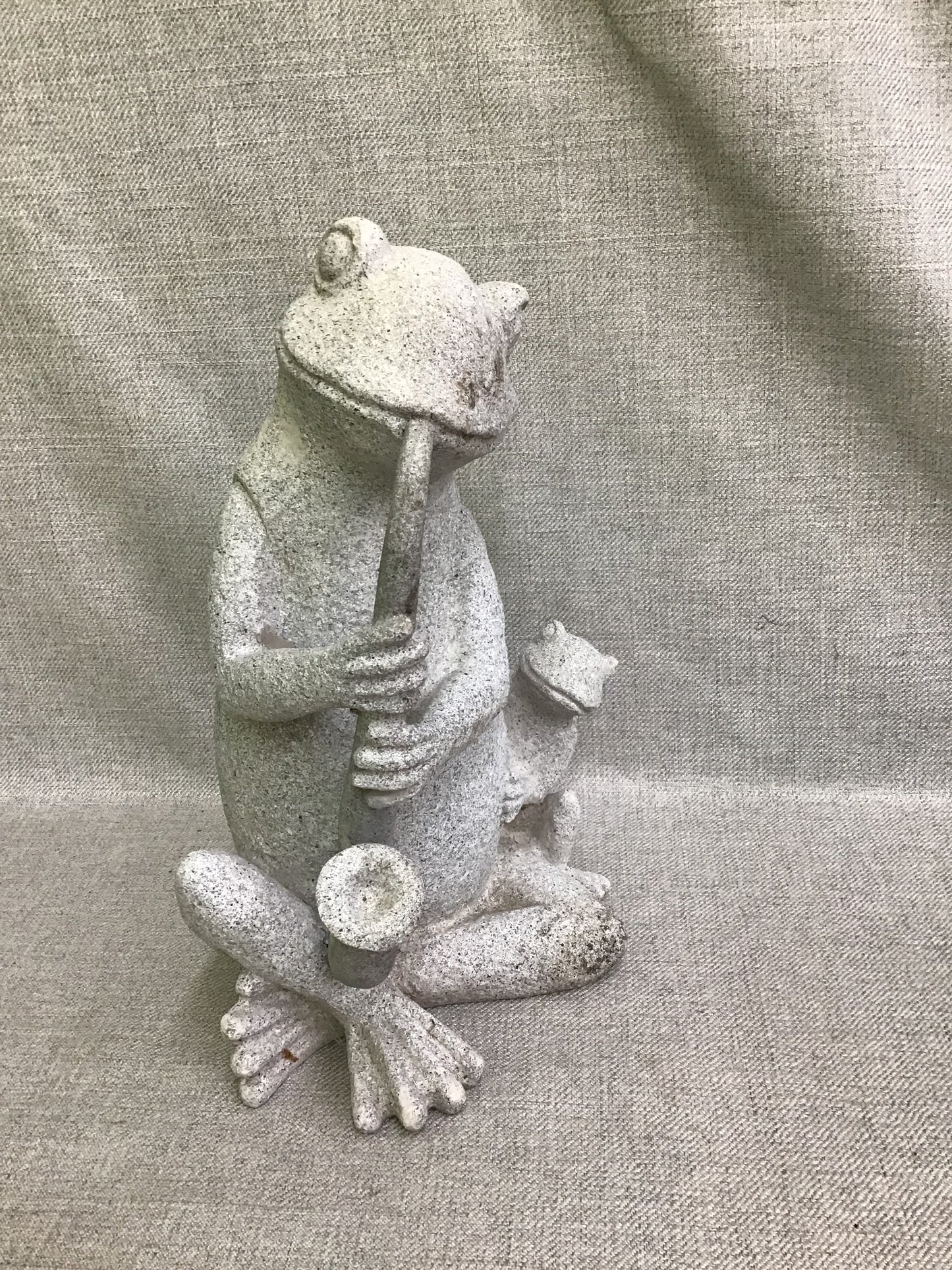 Garden Frog & Friend