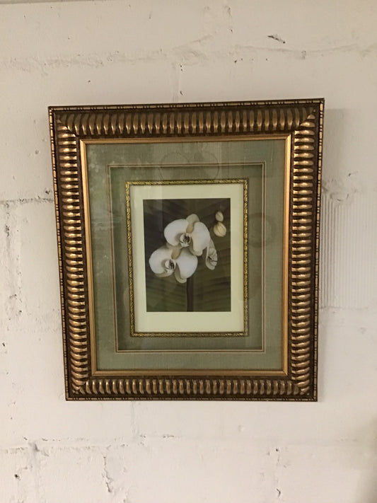 Framed Orchid Artwork