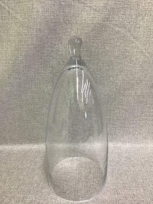 New! Glass Cloche Dome