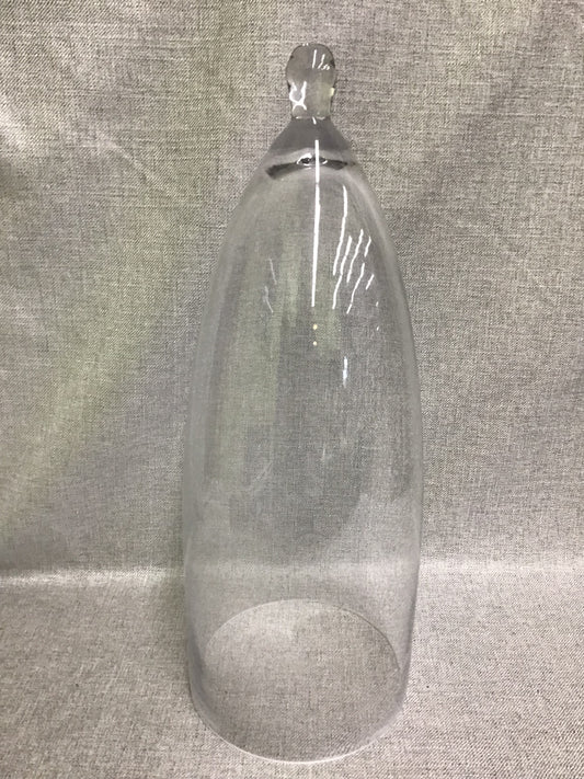 New! Glass Cloche Dome