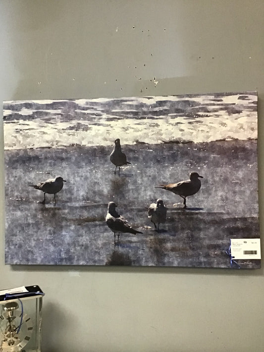 New! Seagulls Canvas Art