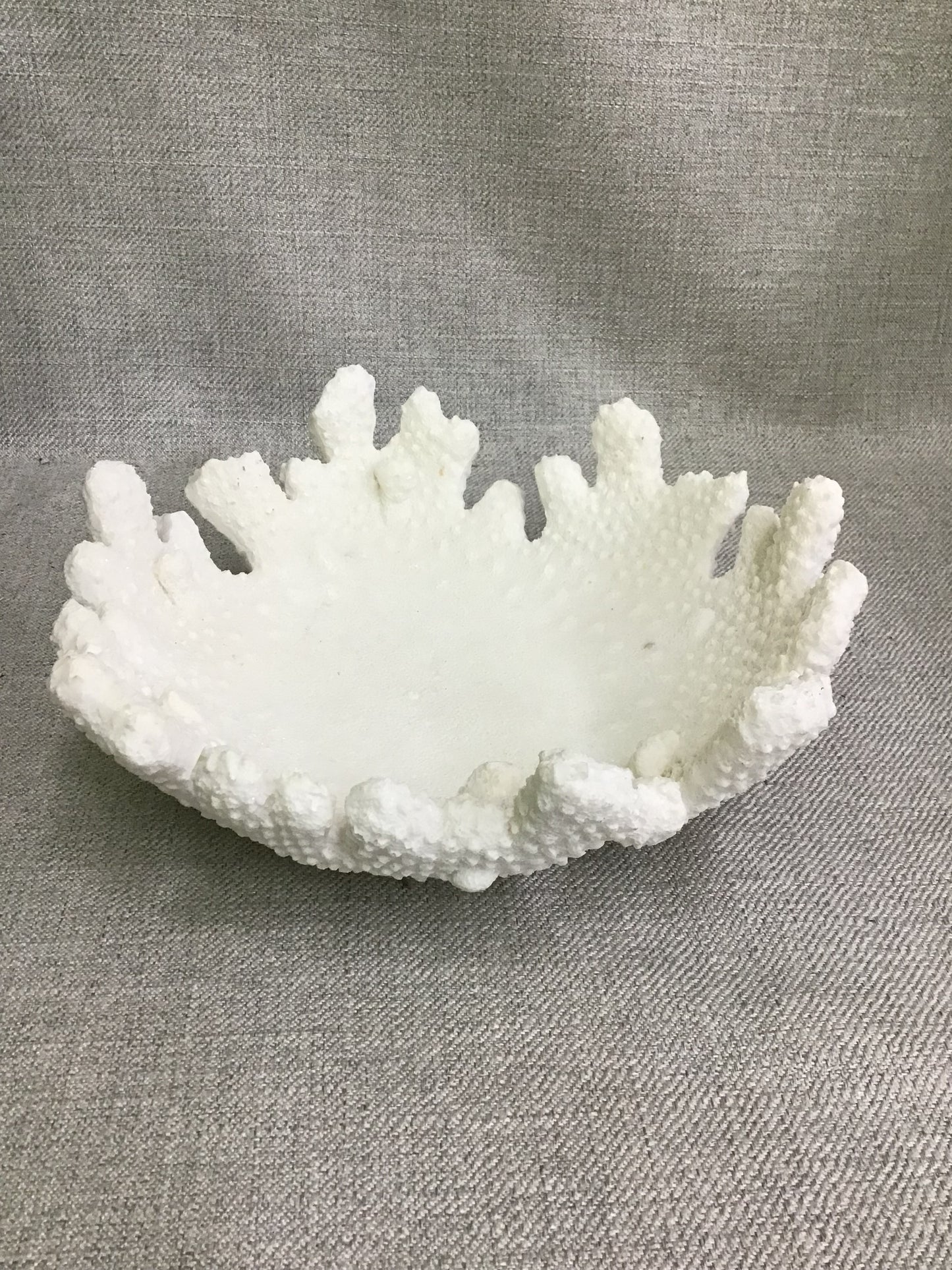 Decorative shell bowl
