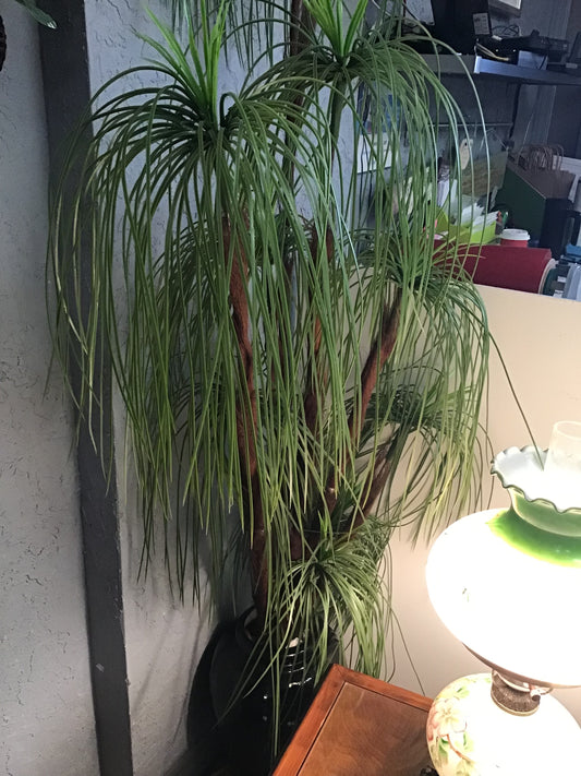Faux Palm Tree in Ceramic Planter