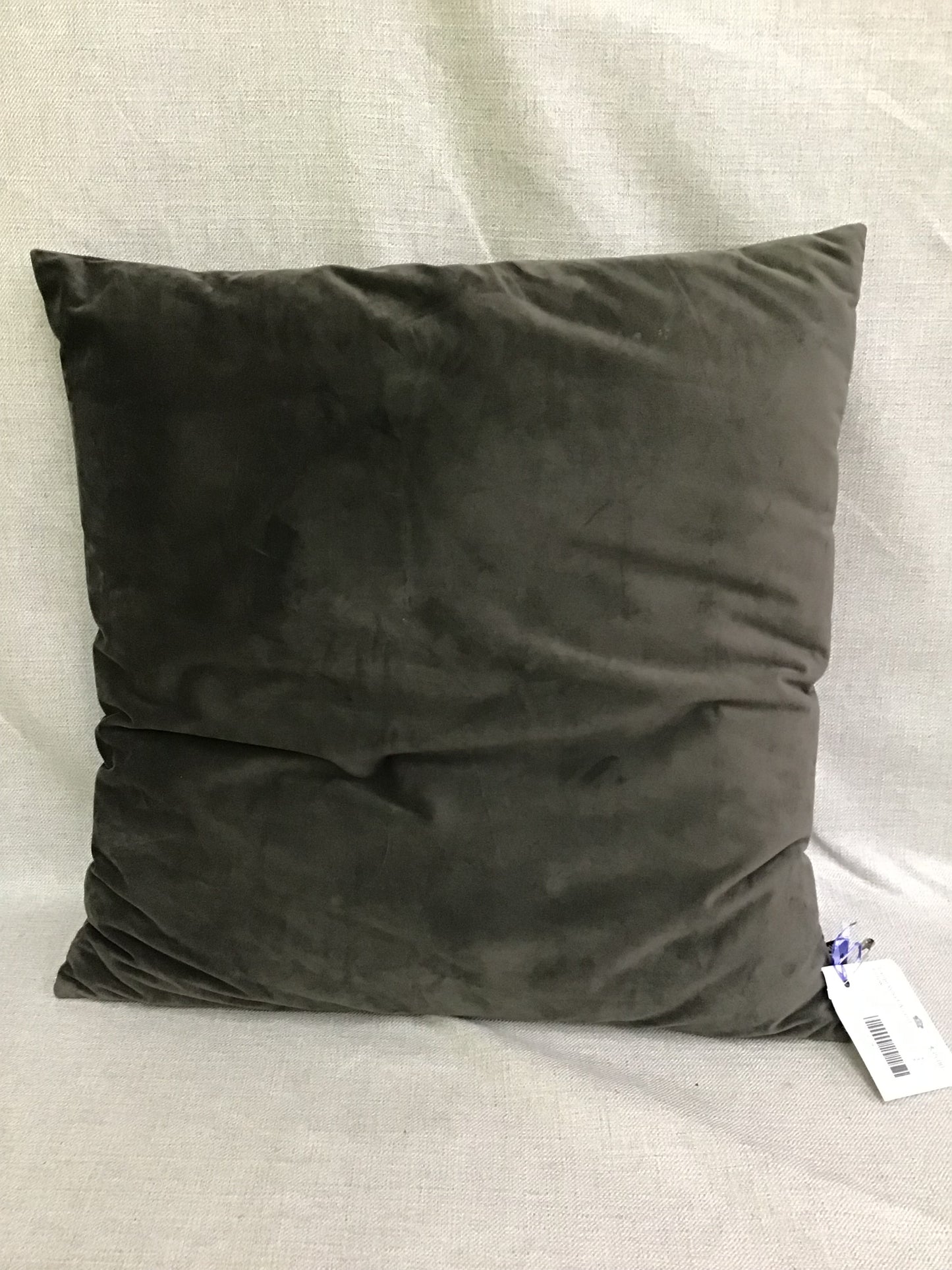 Large Velvet Accent Pillow