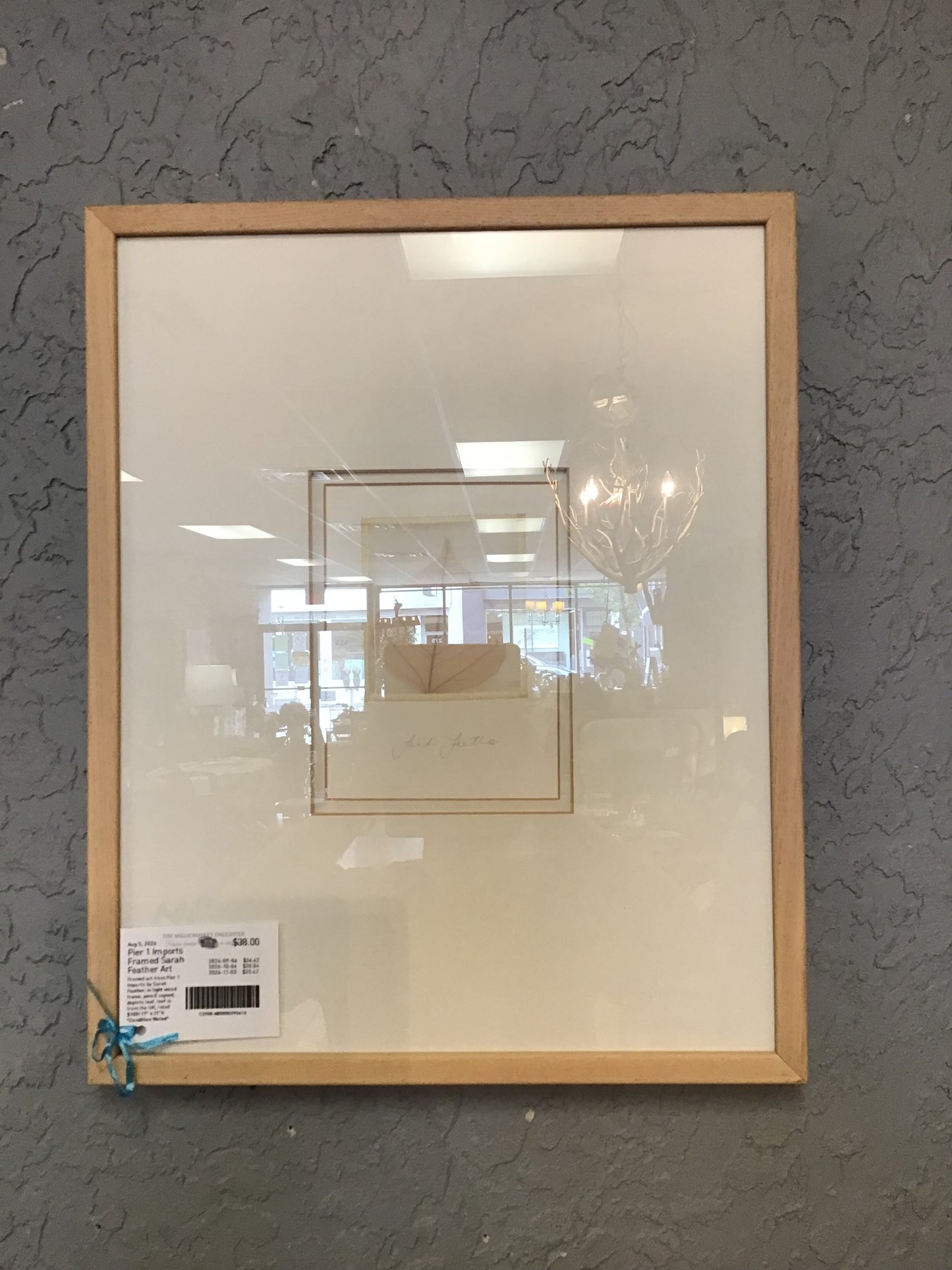 Pier 1 Imports Framed Sarah Feather Art