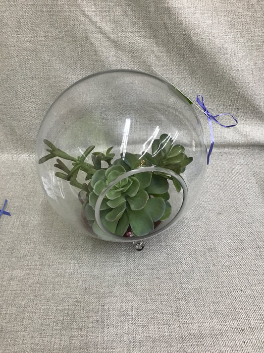Decorative Round Glass Terrarium