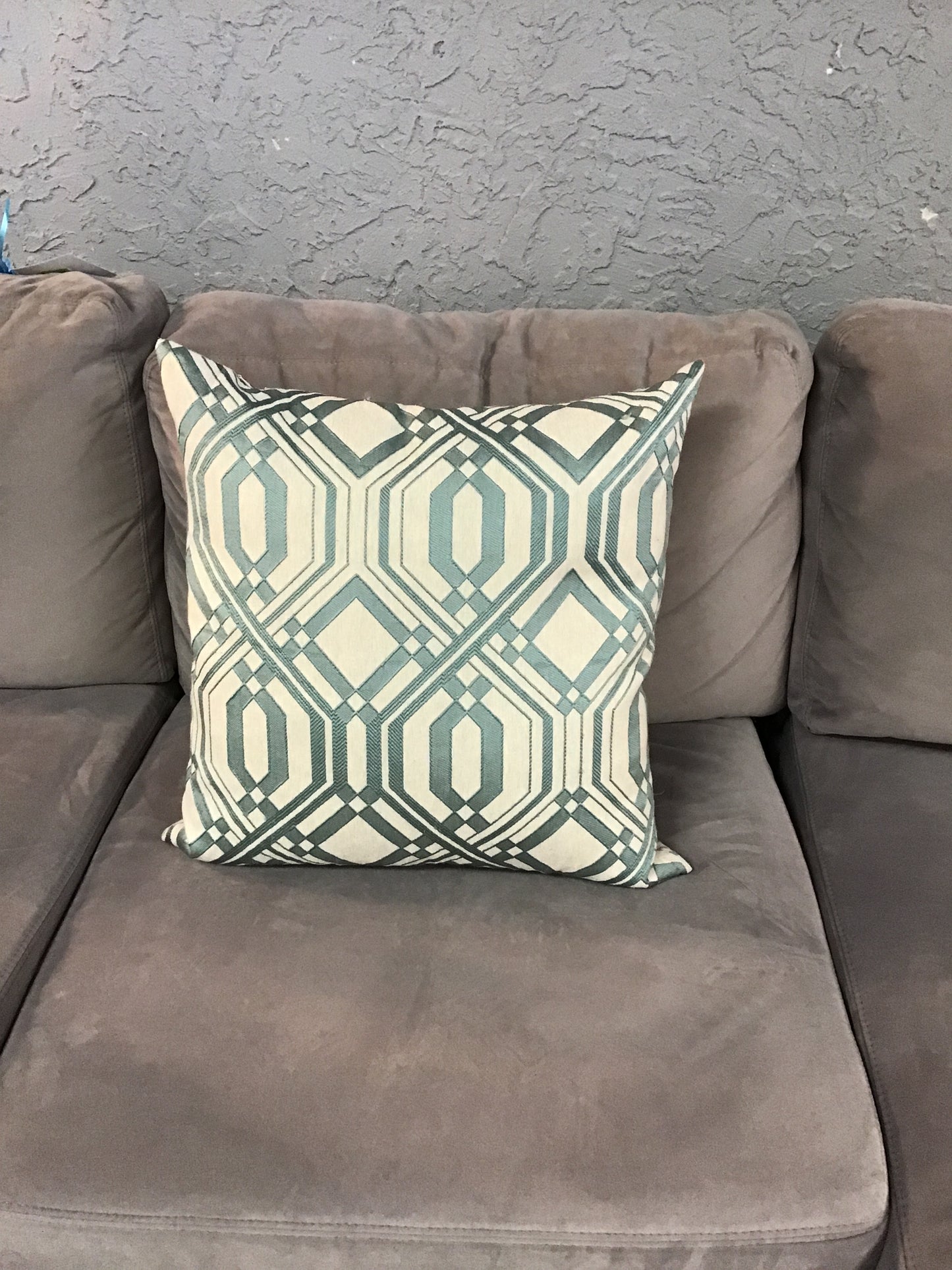 Throw Cushion