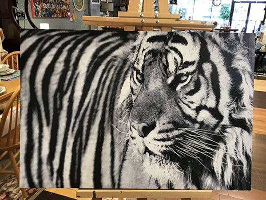 Modern Canvas Art- Tiger