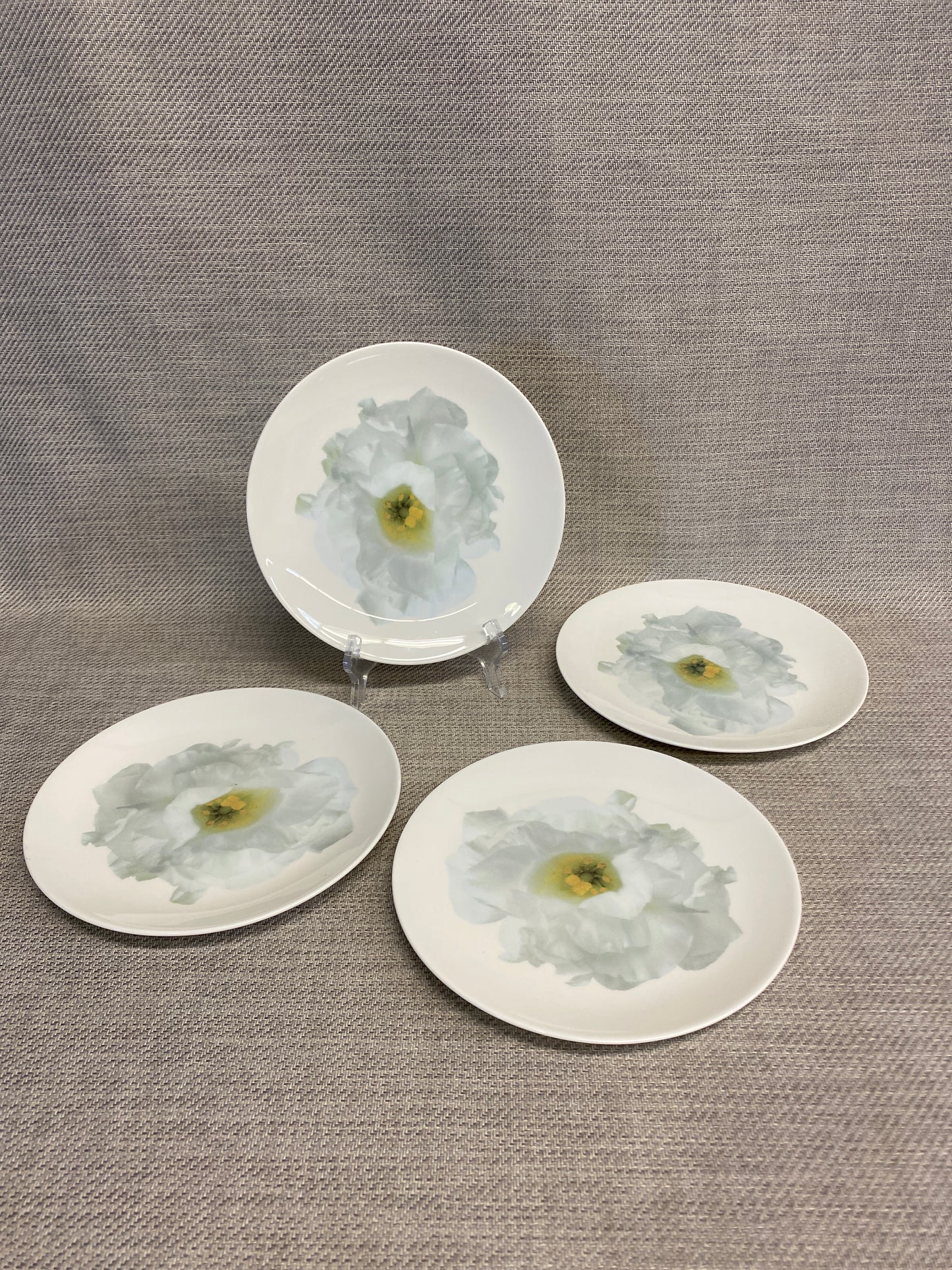 Set 4 Wedgwood "Bloomers" Plates
