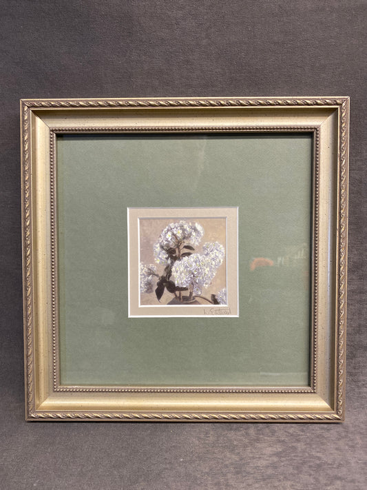 Framed Print - Hydrangea