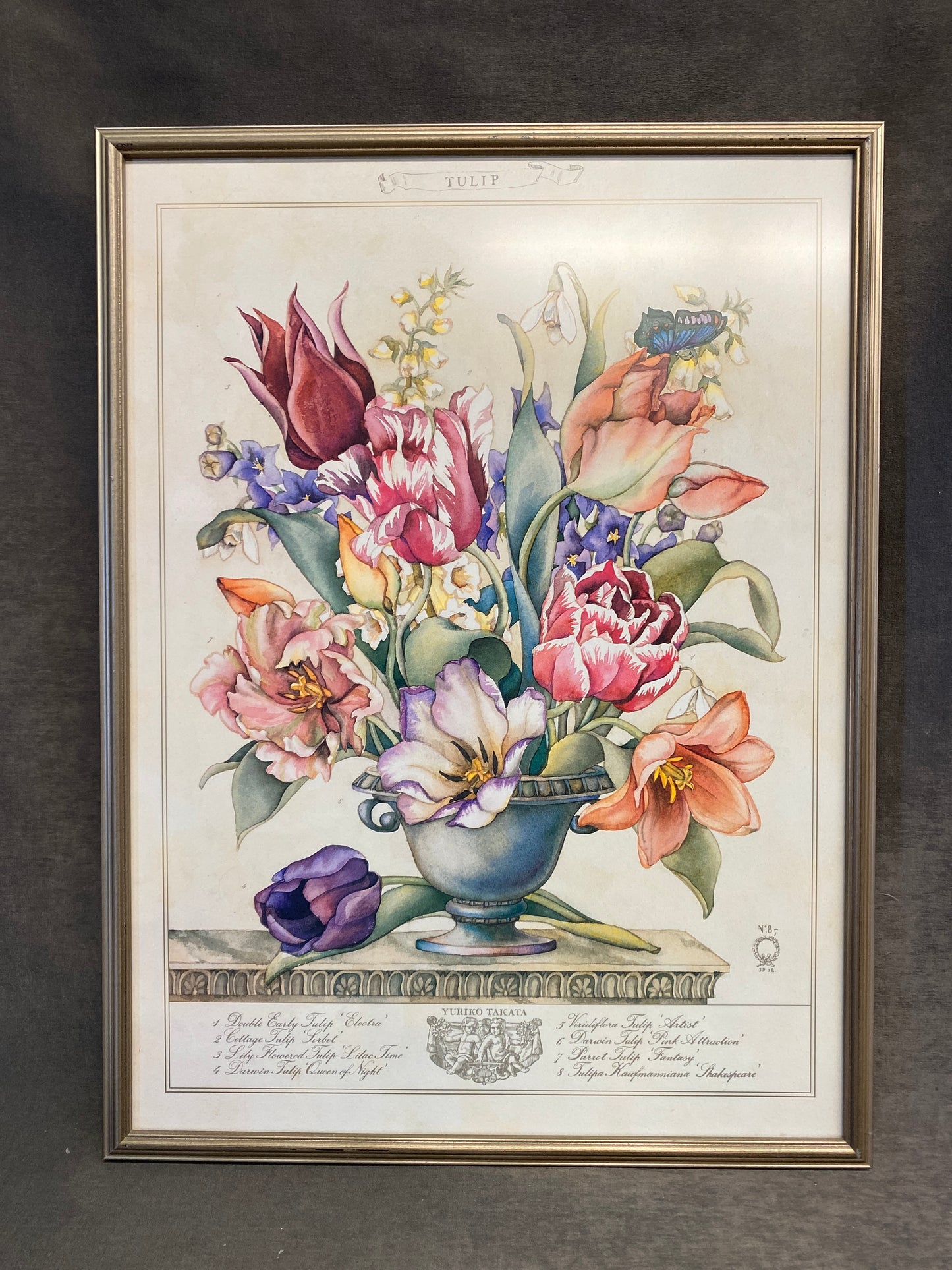 Framed Botanical Print - Tulip