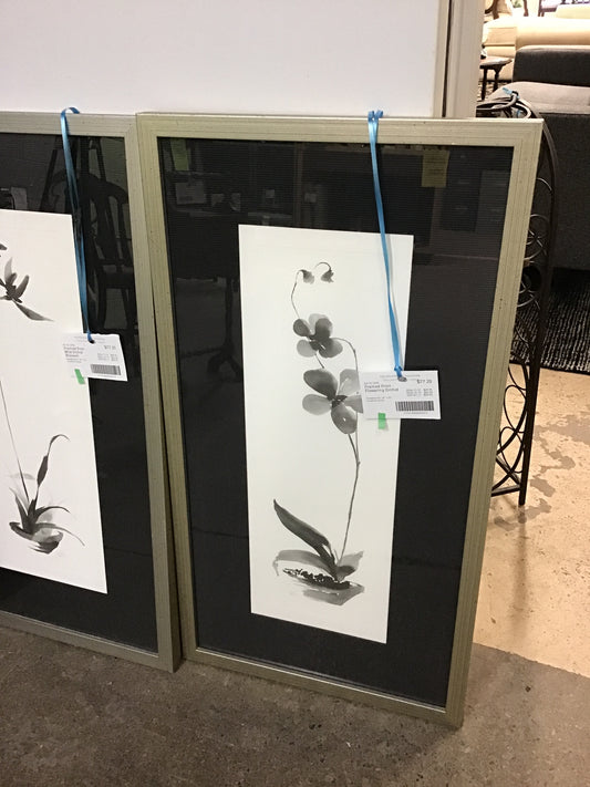 Framed Print - Flowering Orchid