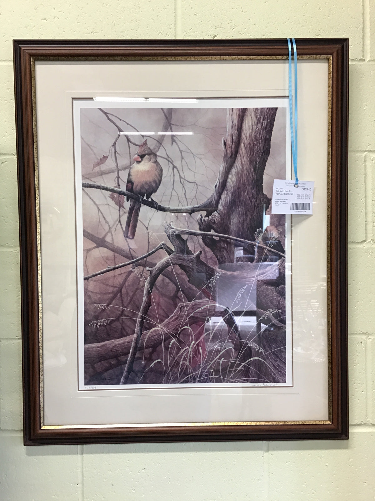 Framed Print - Female Cardinal