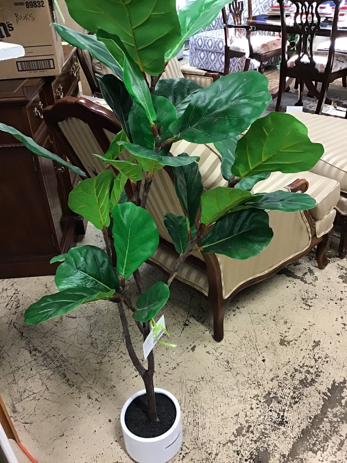 Faux Plant - Fiddle Leaf Fig
