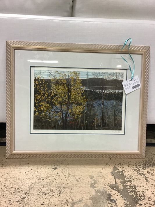 Framed Print - Algonquin Poplar
