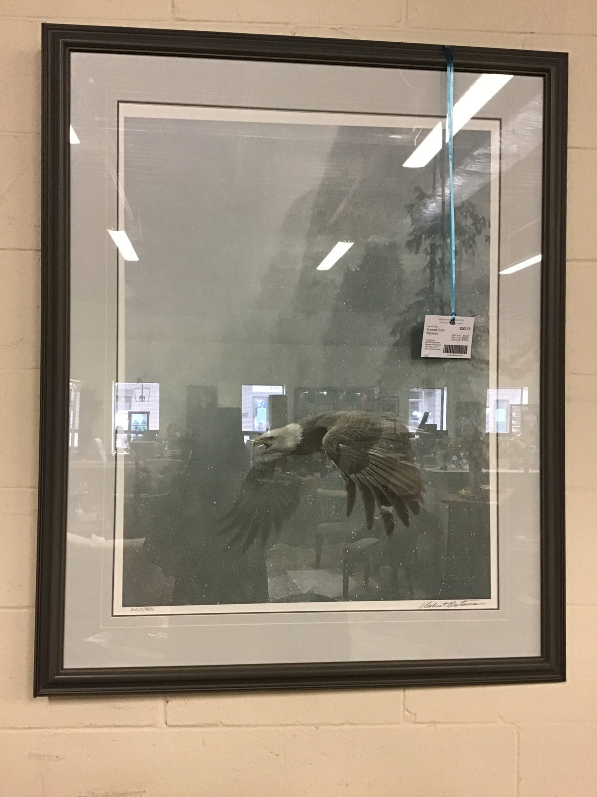 Framed Print - Vigilence