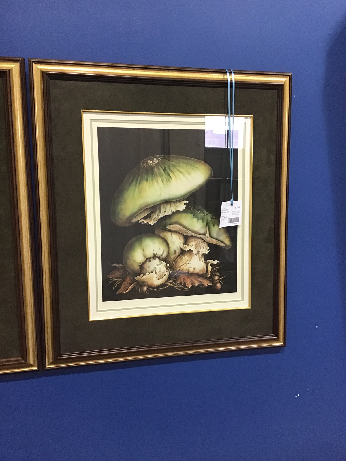 Framed Print - Mushroom A/P