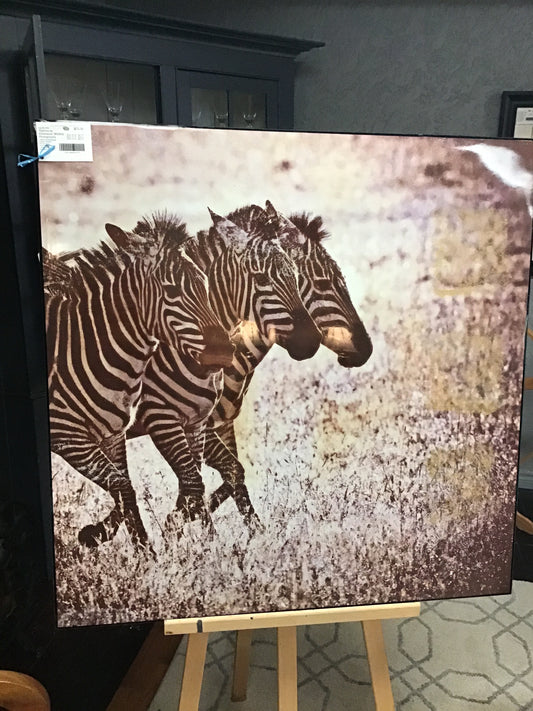 'Fabrice de Villeneuve' Wildlife Photography