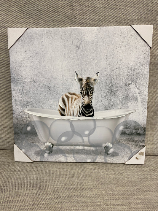 New! Canvas Art "Baby Zebra Bath"