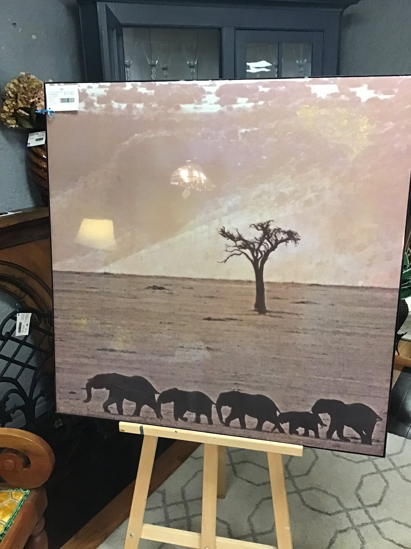 'Fabrice de Villeneuve' Wildlife Photography