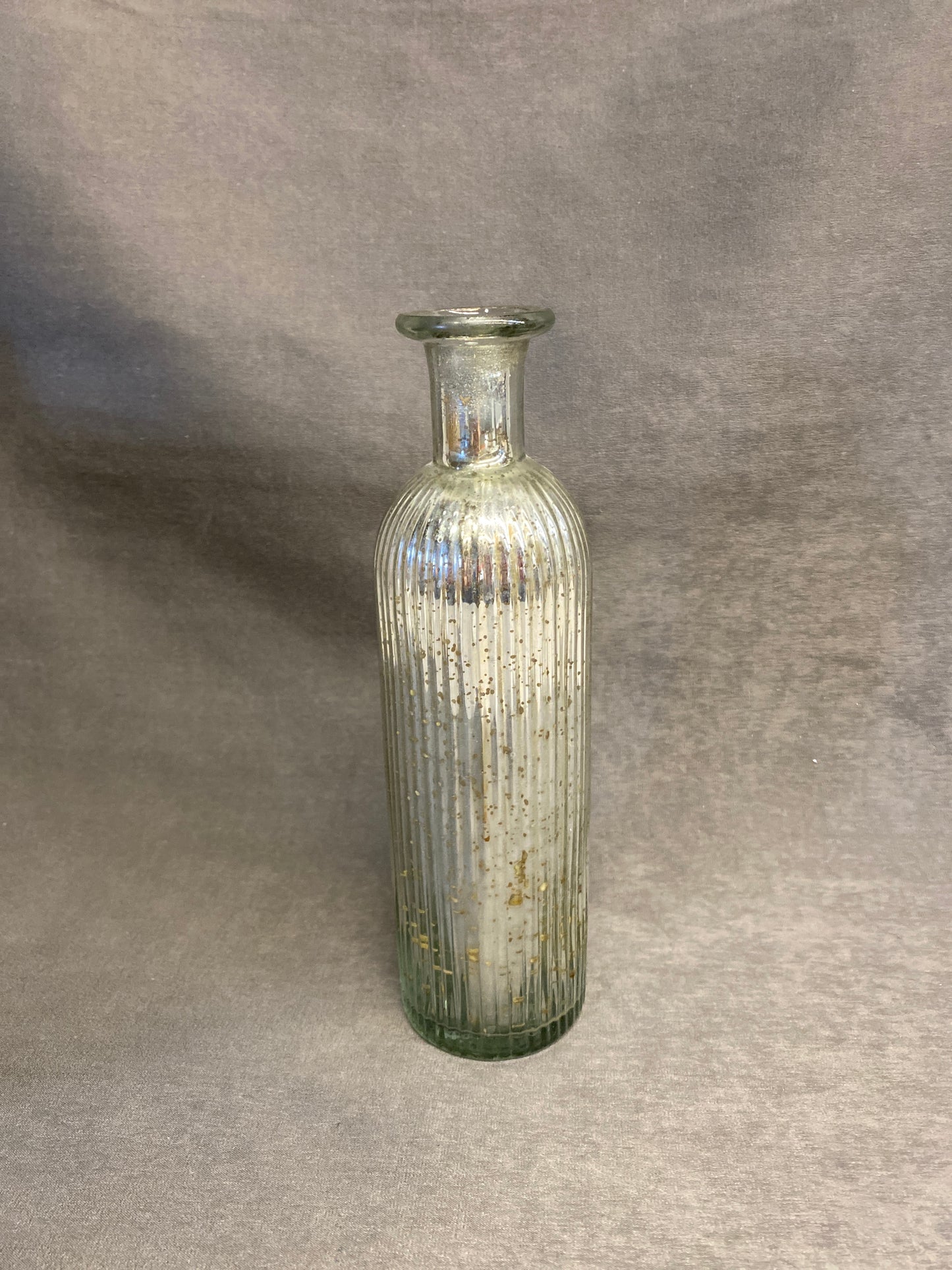 Mercury Glass Bottle / Vase