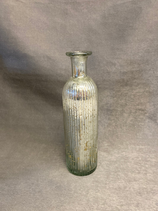Mercury Glass Bottle / Vase