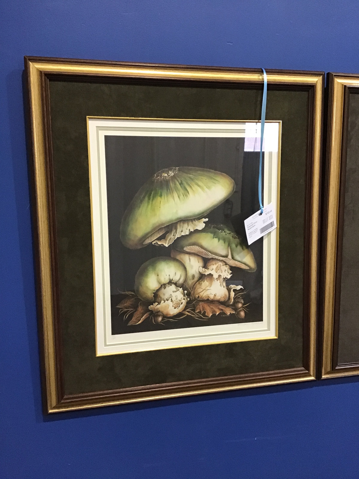 Framed Print - Mushroom